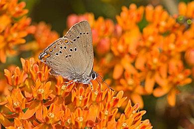 《地狱之刃2》确认有照片模式 新截图很有质感